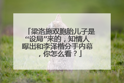 梁洛施双胞胎儿子是“设局”来的，知情人曝出和李泽楷分手内幕，你怎么看？