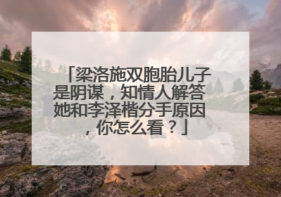梁洛施双胞胎儿子是阴谋，知情人解答她和李泽楷分手原因，你怎么看？