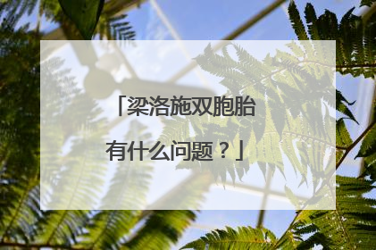 梁洛施双胞胎有什么问题？