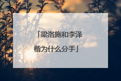 梁洛施和李泽楷为什么分手