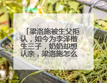 梁洛施被生父拒认,如今为李泽楷生三子,奶奶却想认亲,梁洛施怎么样了?
