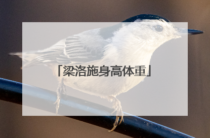 梁洛施身高体重