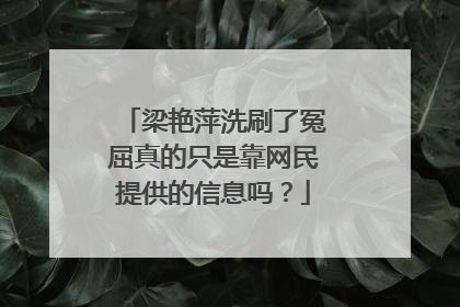 梁艳萍洗刷了冤屈真的只是靠网民提供的信息吗?