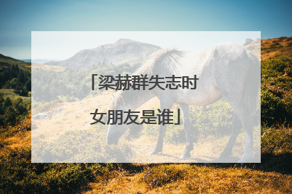 梁赫群失志时女朋友是谁