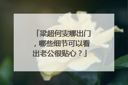 梁超何雯娜出门，哪些细节可以看出老公很贴心？