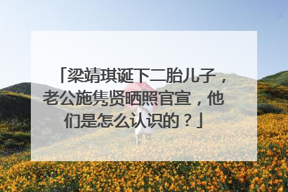 梁靖琪诞下二胎儿子，老公施隽贤晒照官宣，他们是怎么认识的？