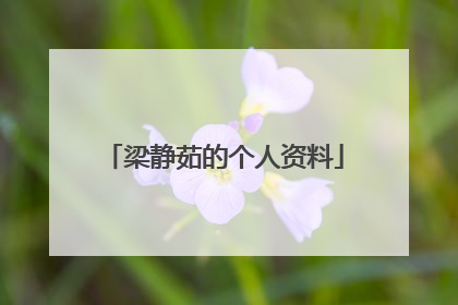 梁静茹的个人资料