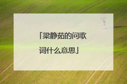 梁静茹的问歌词什么意思