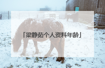 梁静茹个人资料年龄