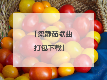 梁静茹歌曲打包下载