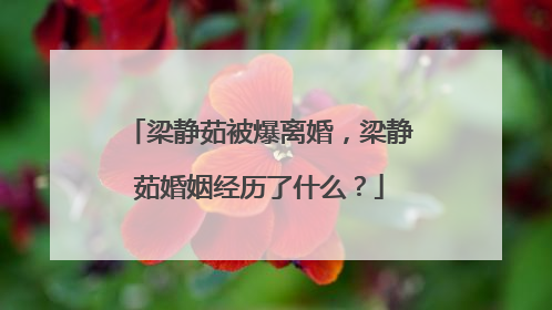 梁静茹被爆离婚，梁静茹婚姻经历了什么？