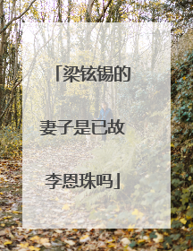 梁铉锡的妻子是已故李恩珠吗