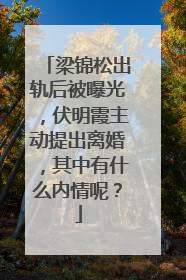 梁锦松出轨后被曝光,伏明霞主动提出离婚,其中有什么内情呢?