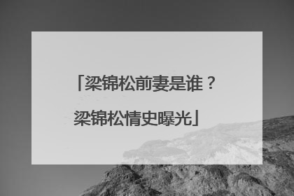 梁锦松前妻是谁？梁锦松情史曝光