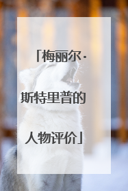 梅丽尔·斯特里普的人物评价