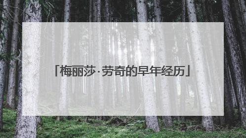 梅丽莎·劳奇的早年经历