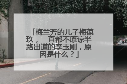 梅兰芳的儿子梅葆玖，一直都不原谅半路出道的李玉刚，原因是什么？