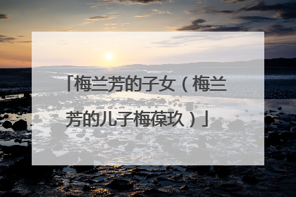 梅兰芳的子女(梅兰芳的儿子梅葆玖)