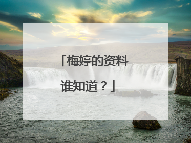 梅婷的资料谁知道？