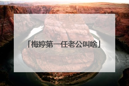 梅婷第一任老公叫啥