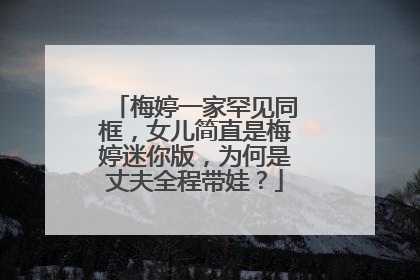 梅婷一家罕见同框，女儿简直是梅婷迷你版，为何是丈夫全程带娃？