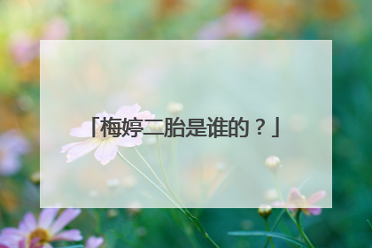 梅婷二胎是谁的?