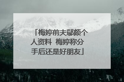 梅婷前夫鄢颇个人资料 梅婷称分手后还是好朋友