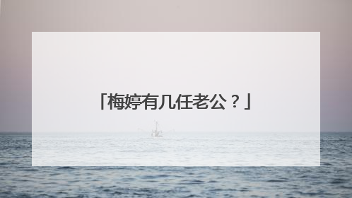 梅婷有几任老公？