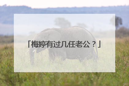 梅婷有过几任老公？