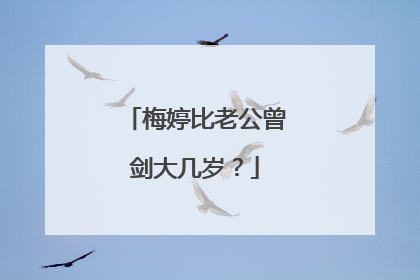 梅婷比老公曾剑大几岁？