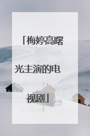 梅婷高曙光主演的电视剧