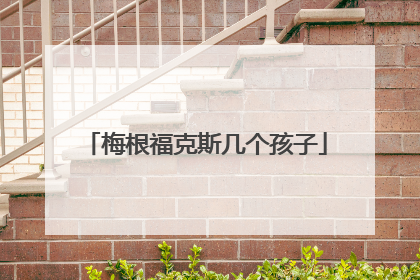 梅根福克斯几个孩子