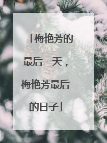 梅艳芳的最后一天,梅艳芳最后的日子