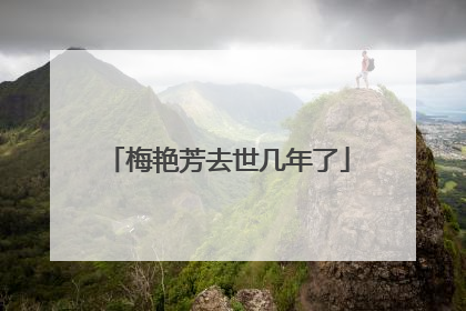 梅艳芳去世几年了