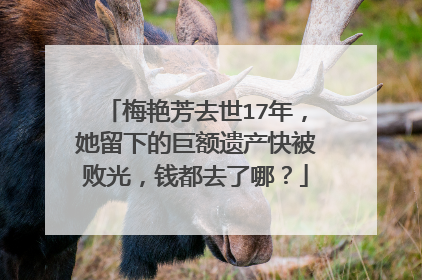 梅艳芳去世17年，她留下的巨额遗产快被败光，钱都去了哪？