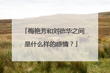 梅艳芳和刘德华之间是什么样的感情?