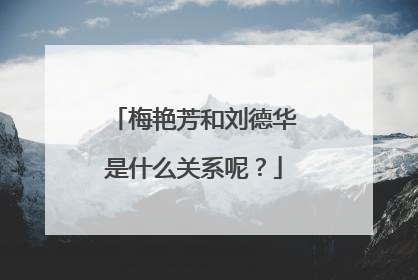梅艳芳和刘德华是什么关系呢？