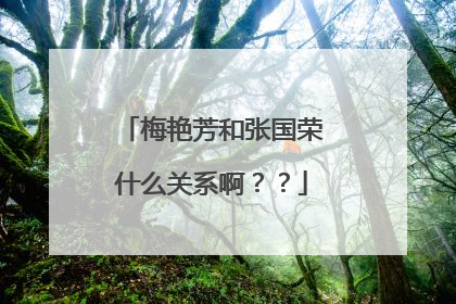 梅艳芳和张国荣什么关系啊??