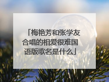 梅艳芳和张学友合唱的相爱很难国语版歌名是什么