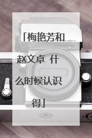 梅艳芳和赵文卓 什么时候认识得