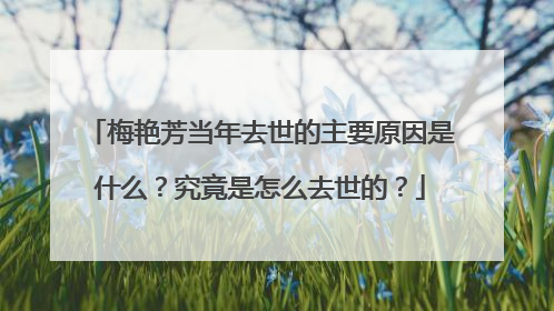 梅艳芳当年去世的主要原因是什么?究竟是怎么去世的?