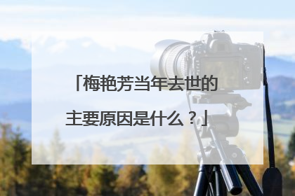 梅艳芳当年去世的主要原因是什么？