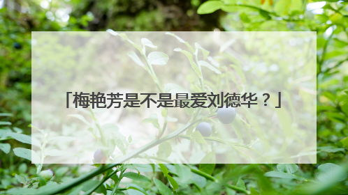 梅艳芳是不是最爱刘德华?