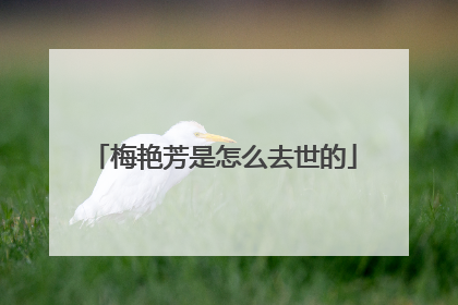 梅艳芳是怎么去世的