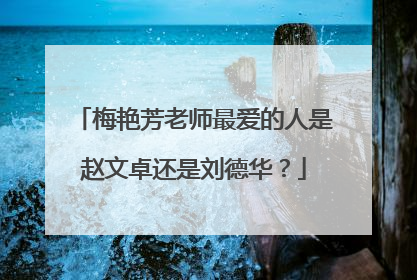 梅艳芳老师最爱的人是赵文卓还是刘德华?