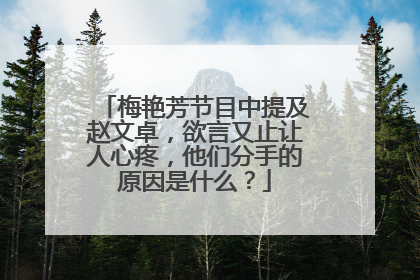 梅艳芳节目中提及赵文卓，欲言又止让人心疼，他们分手的原因是什么？