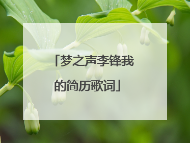 梦之声李锋我的简历歌词
