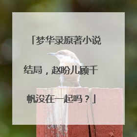 梦华录原著小说结局，赵盼儿顾千帆没在一起吗？