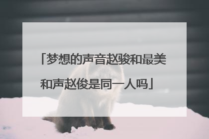 梦想的声音赵骏和最美和声赵俊是同一人吗