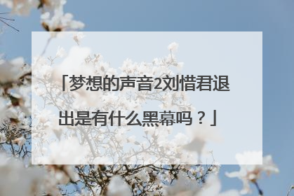 梦想的声音2刘惜君退出是有什么黑幕吗?
